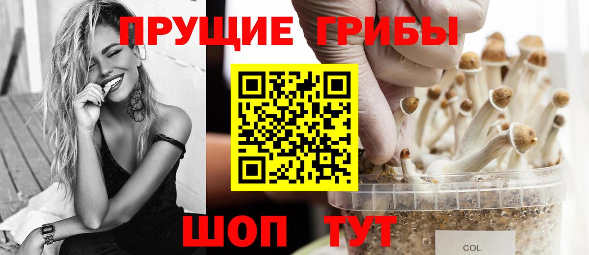 Галлюциногенные грибы мицелий  Вход с VPN  Зерноград 